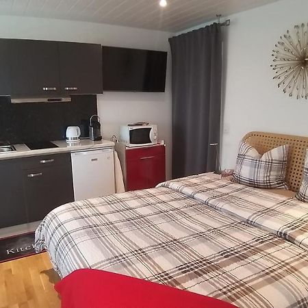 Beau Studio Avec Terrasse Et Vue Exclusivement Pour Non Fumeurs Belmont-sur-Lausanne Luaran gambar