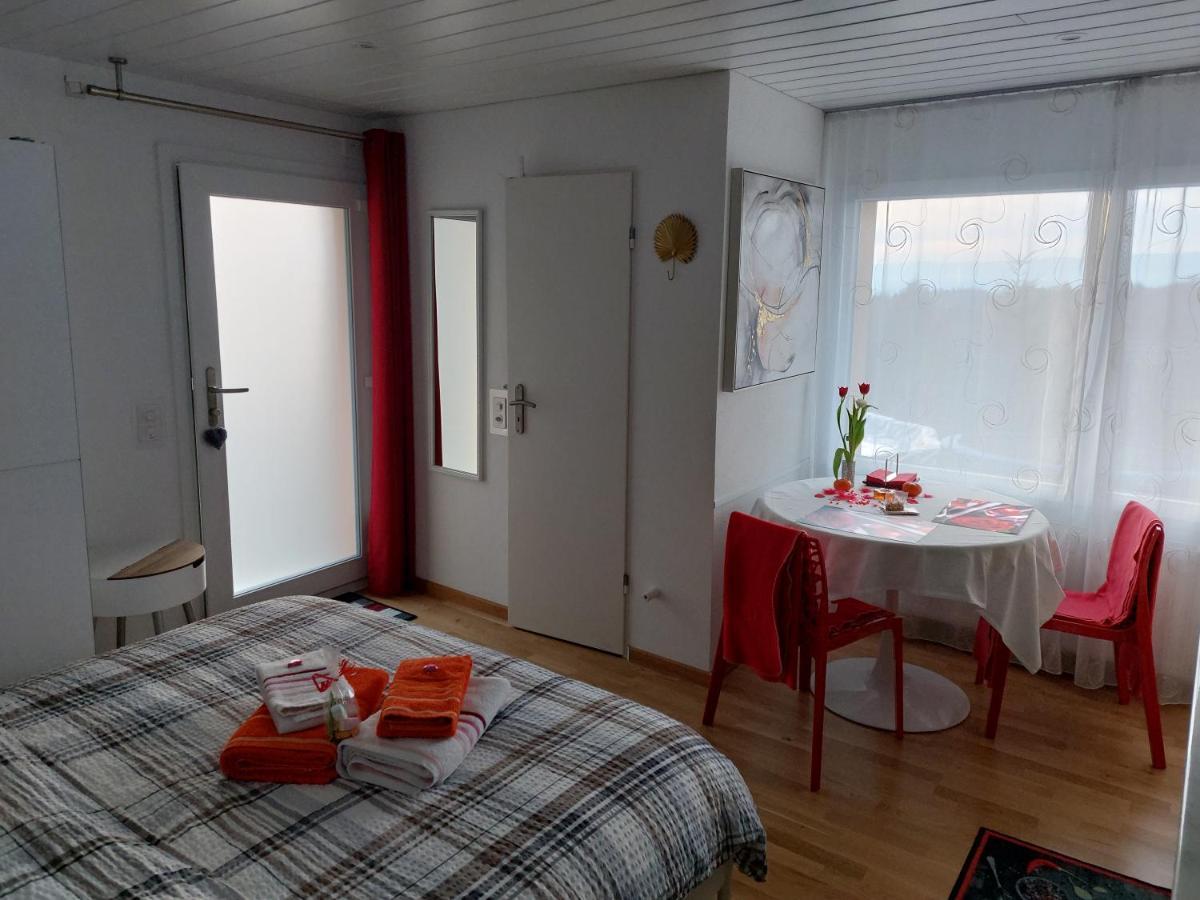 Beau Studio Avec Terrasse Et Vue Exclusivement Pour Non Fumeurs Belmont-sur-Lausanne Luaran gambar