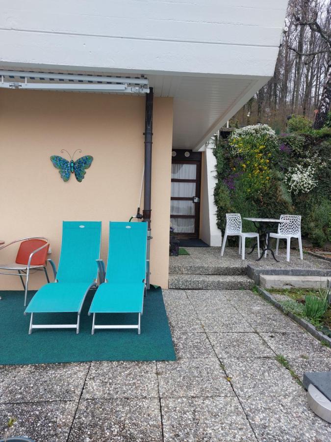 Beau Studio Avec Terrasse Et Vue Exclusivement Pour Non Fumeurs Belmont-sur-Lausanne Luaran gambar